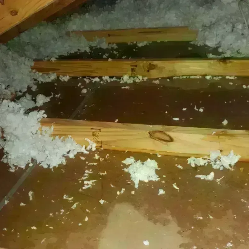 Attic Water Damage in Dudley, MA